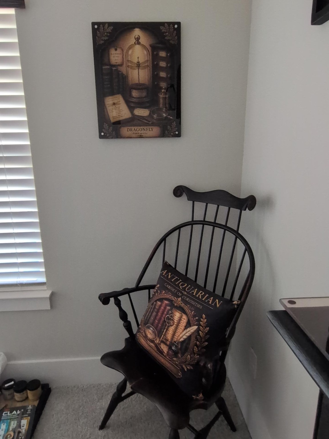 Dragonfly artwork and Antiquarian pillow designed by Roxie in the Cabinet of Curiosities guest room